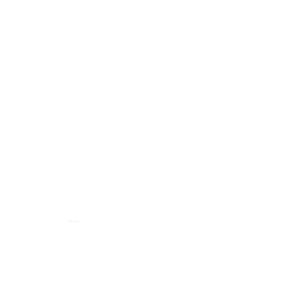 Entrevistas telefónicas software